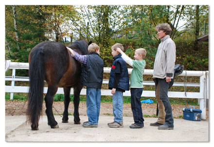 Reittherapie in der Gruppe